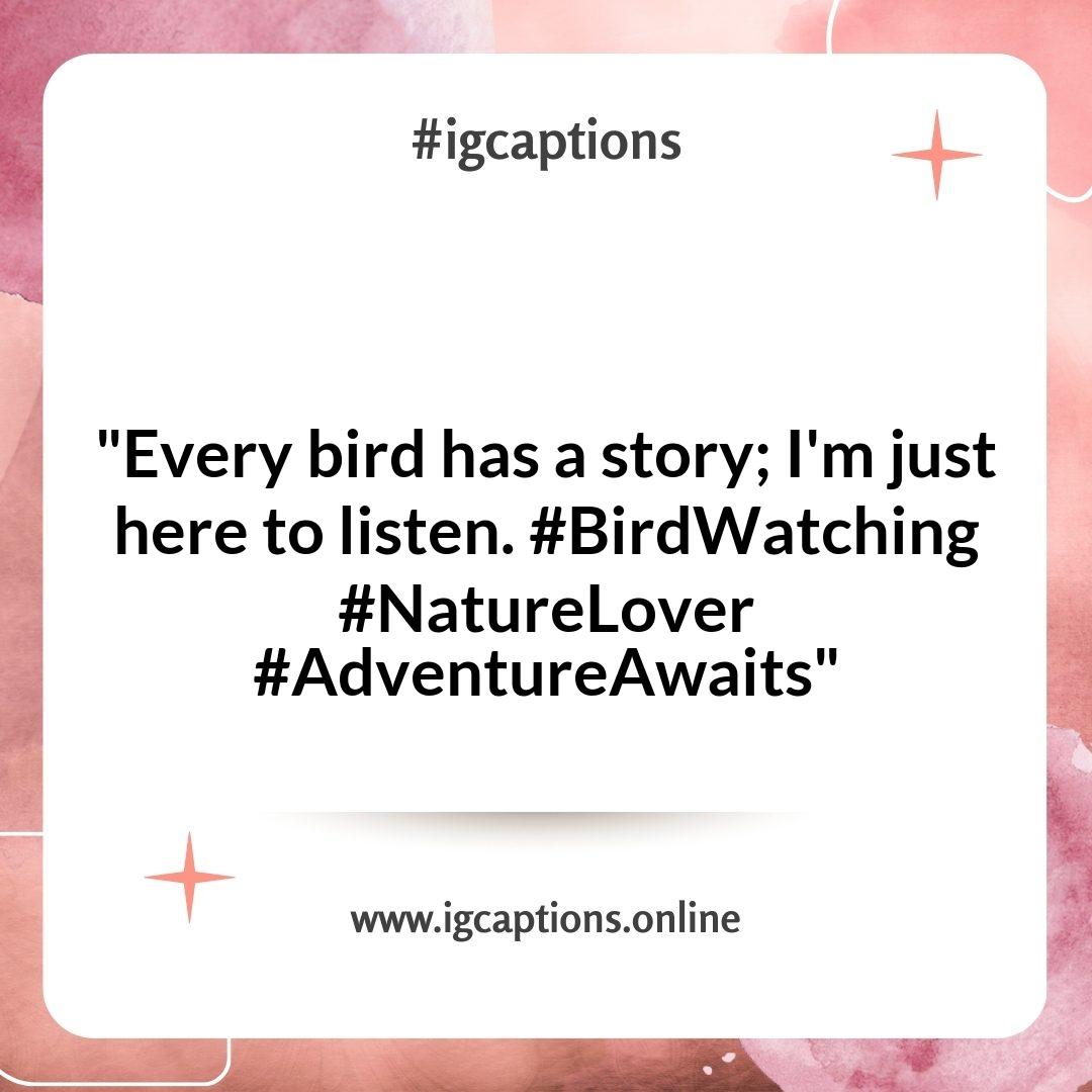 Bird Watching Instagram Captions That Inspire Adventure in the Wild Bird Watching Instagram Captions That Inspire Adventure in the Wild