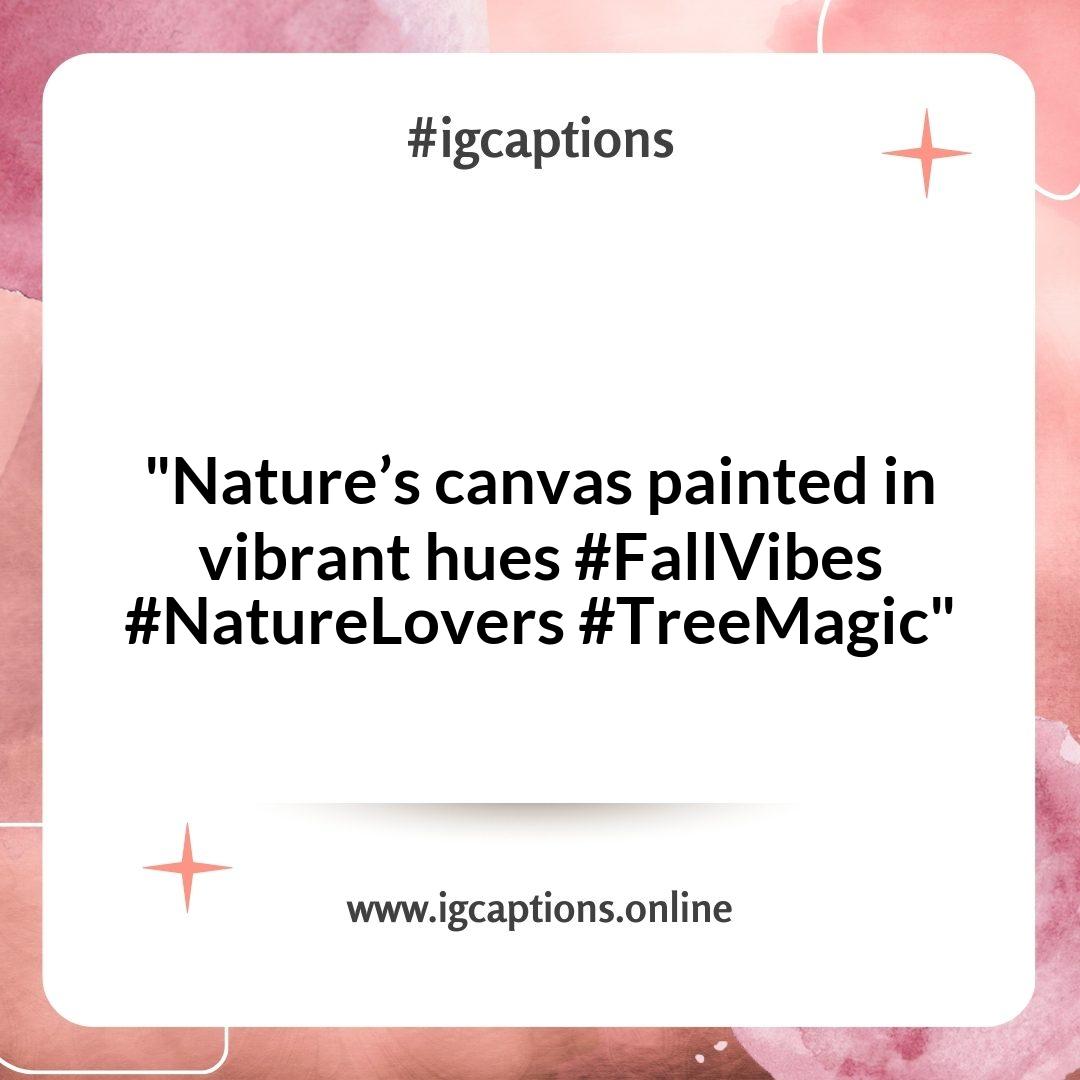 Capturing the Seasons: Seasonal Tree Instagram Captions Capturing the Seasons: Seasonal Tree Instagram Captions