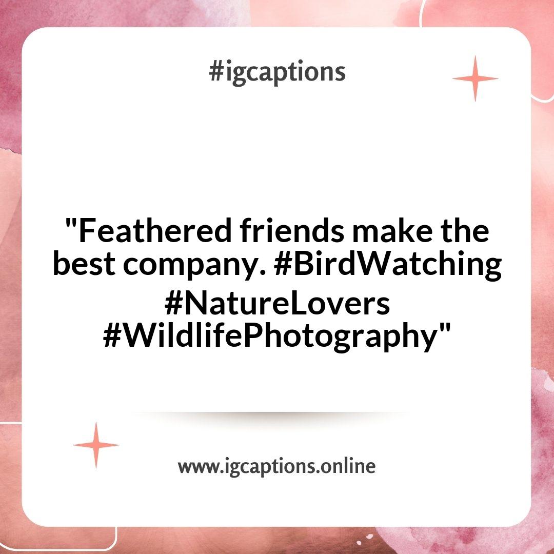 Charming Bird Watching Instagram Captions for Sharing Your Birding Journey Charming Bird Watching Instagram Captions for Sharing Your Birding Journey