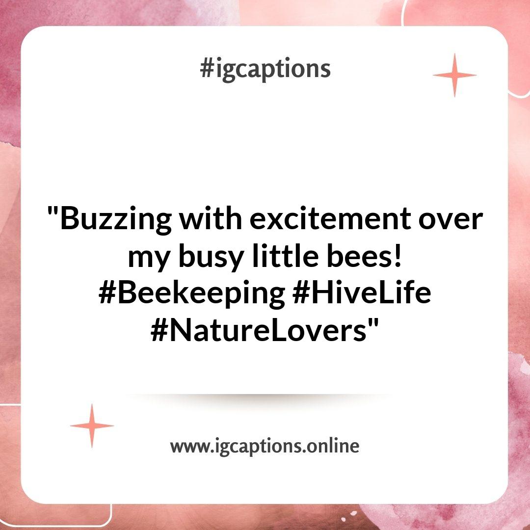 Creative Beekeeping Instagram Captions to Showcase Your Hive Creative Beekeeping Instagram Captions to Showcase Your Hive