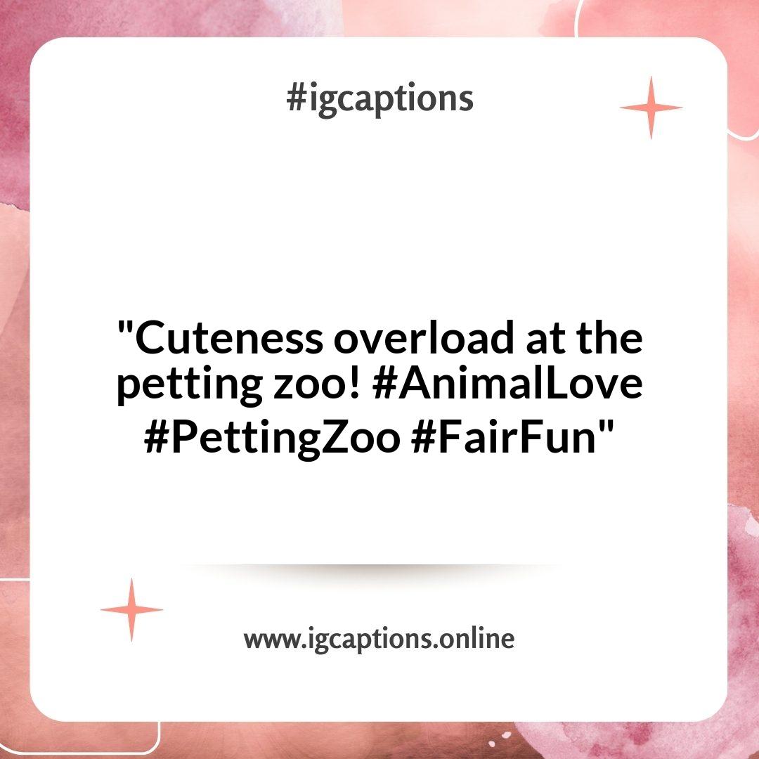 Cute Instagram Captions for Fairs: Adorable Animal Encounters and Petting Zoos Cute Instagram Captions for Fairs: Adorable Animal Encounters and Petting Zoos
