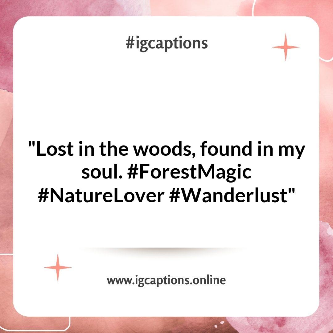 Discovering the Magic of Forest Instagram Captions Discovering the Magic of Forest Instagram Captions