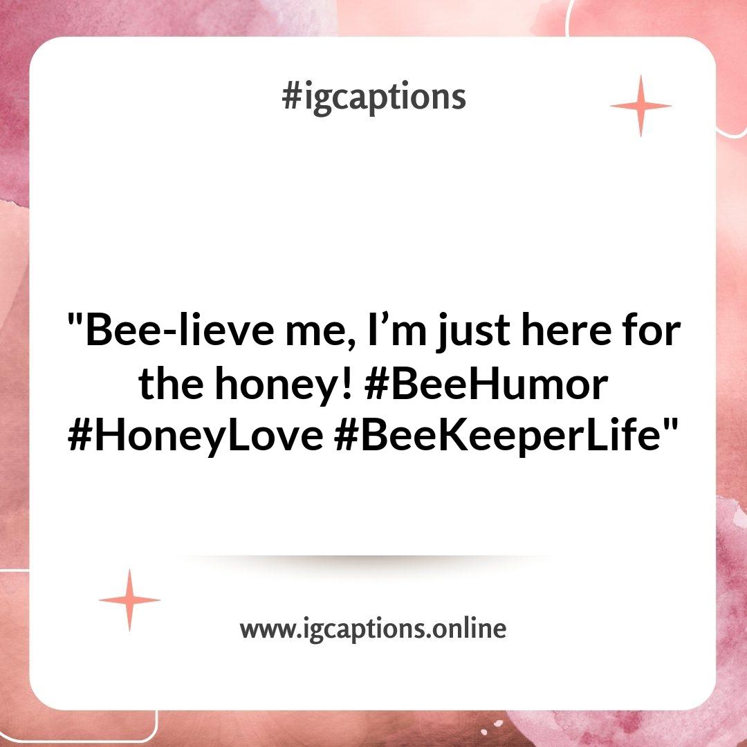Humorous Beekeeping Instagram Captions to Make You Smile Humorous Beekeeping Instagram Captions to Make You Smile