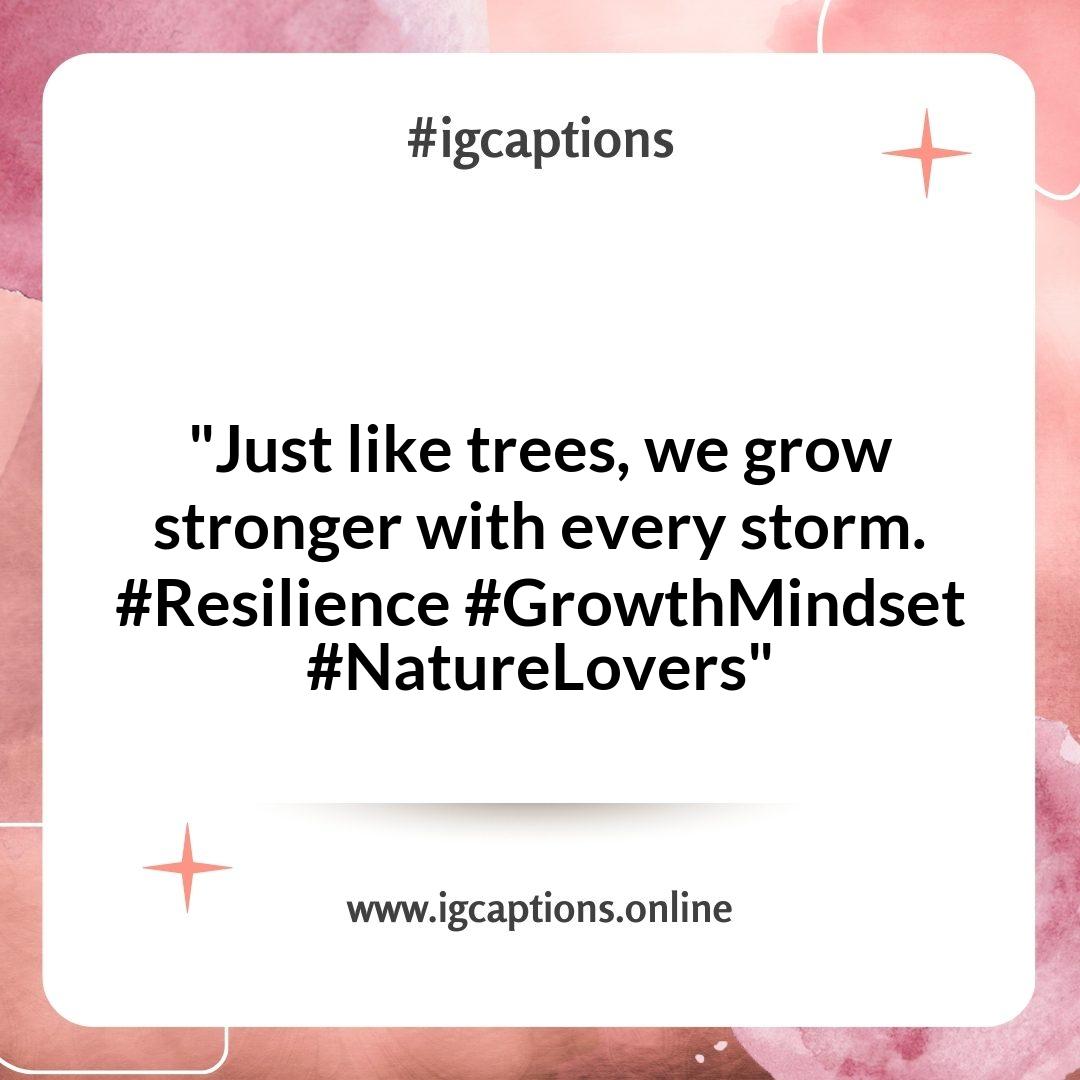 Inspirational Tree Instagram Captions That Encourage Growth and Resilience Inspirational Tree Instagram Captions That Encourage Growth and Resilience