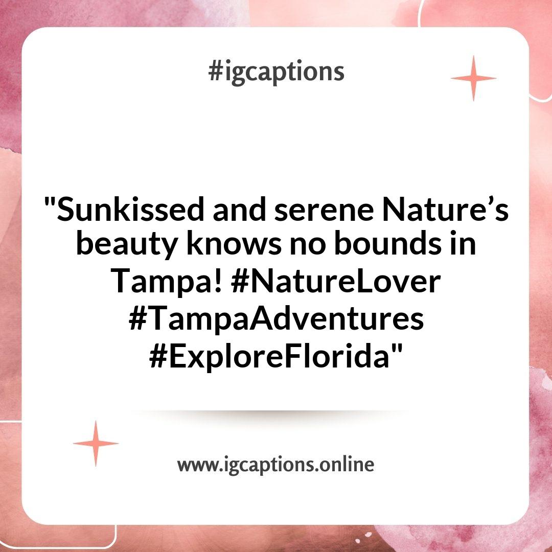 Inspiring Tampa Instagram Captions for Nature Enthusiasts Inspiring Tampa Instagram Captions for Nature Enthusiasts
