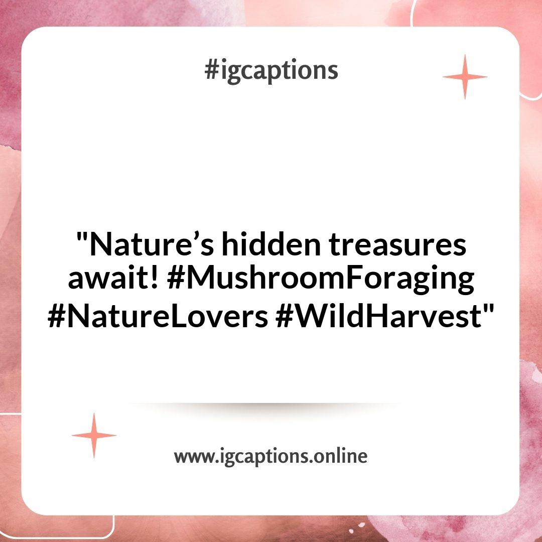 Mushroom Foraging Instagram Captions: A Journey Through the Seasons Mushroom Foraging Instagram Captions: A Journey Through the Seasons