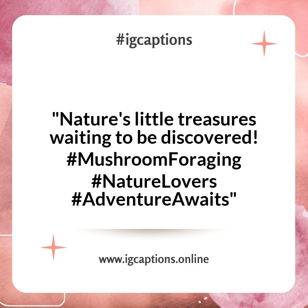 Mushroom Foraging Instagram Captions: Inspiring Others to Explore Nature Mushroom Foraging Instagram Captions: Inspiring Others to Explore Nature