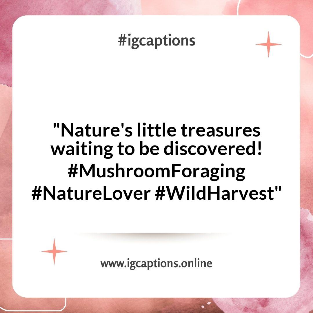 Mushroom Foraging Instagram Captions: Tips for Capturing the Perfect Shot Mushroom Foraging Instagram Captions: Tips for Capturing the Perfect Shot
