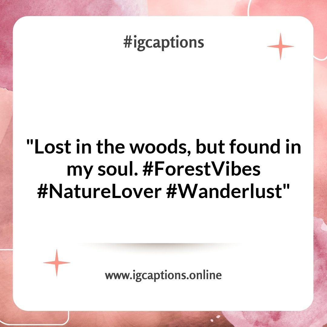 Playful Forest Instagram Captions for Your Adventurous Spirit Playful Forest Instagram Captions for Your Adventurous Spirit