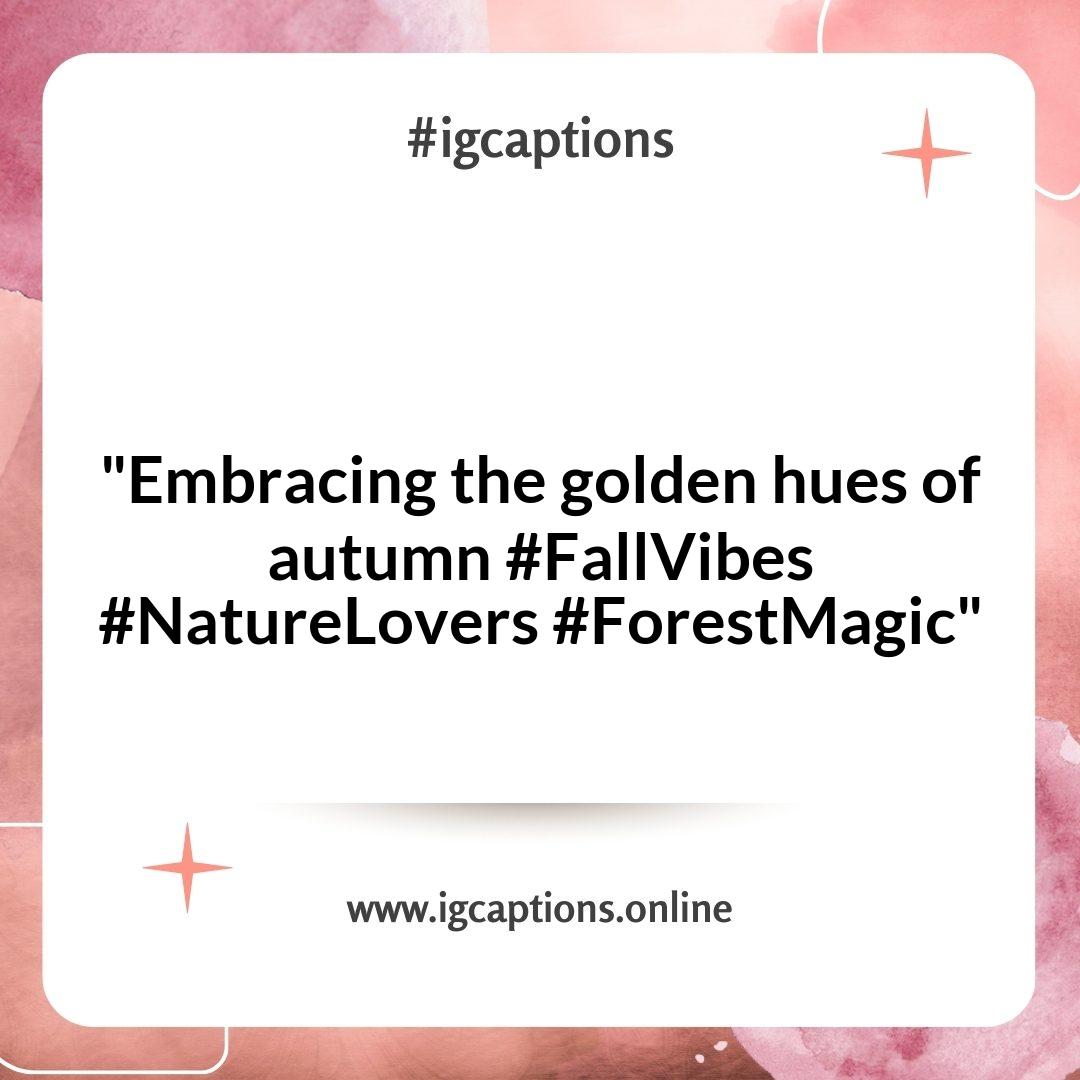 Seasonal Forest Instagram Captions to Celebrate Nature's Changes Seasonal Forest Instagram Captions to Celebrate Nature's Changes
