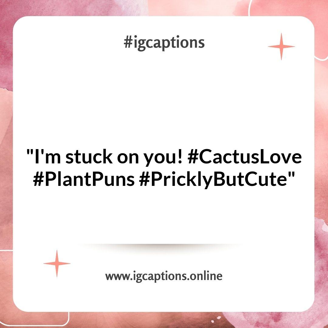 Witty and Punny Cactus Instagram Captions for Plant Lovers Witty and Punny Cactus Instagram Captions for Plant Lovers
