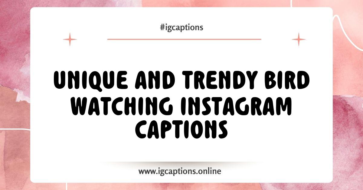 Best Bird Watching Instagram Captions to Elevate Your Nature Posts Best Bird Watching Instagram Captions to Elevate Your Nature Posts