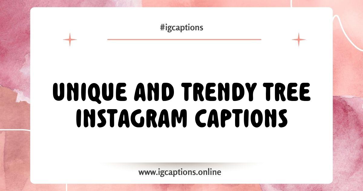 Best Tree Instagram Captions That Will Make Your Posts Stand Out Best Tree Instagram Captions That Will Make Your Posts Stand Out