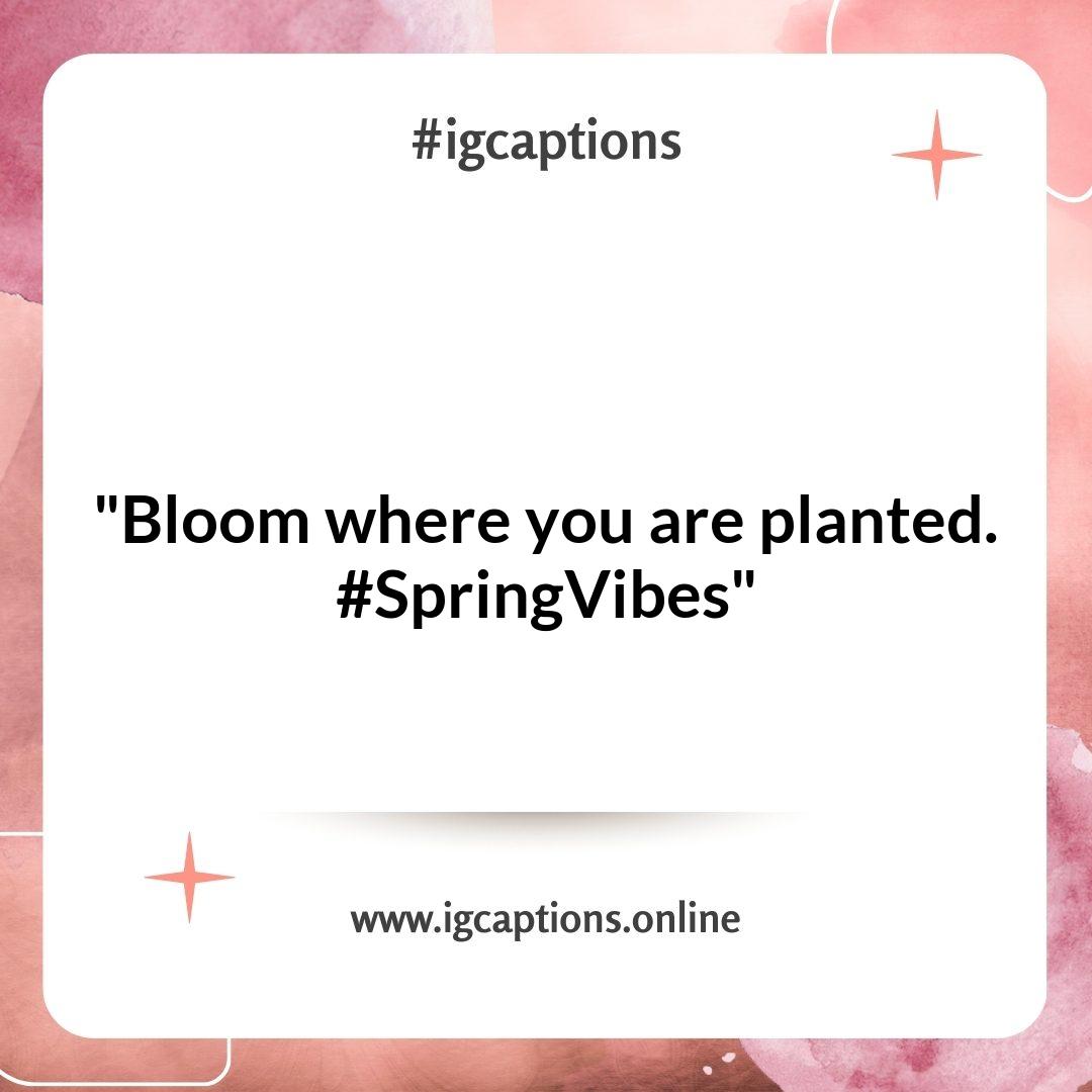 Capturing the Beauty of Spring: Instagram Captions for Nature Lovers Capturing the Beauty of Spring: Instagram Captions for Nature Lovers