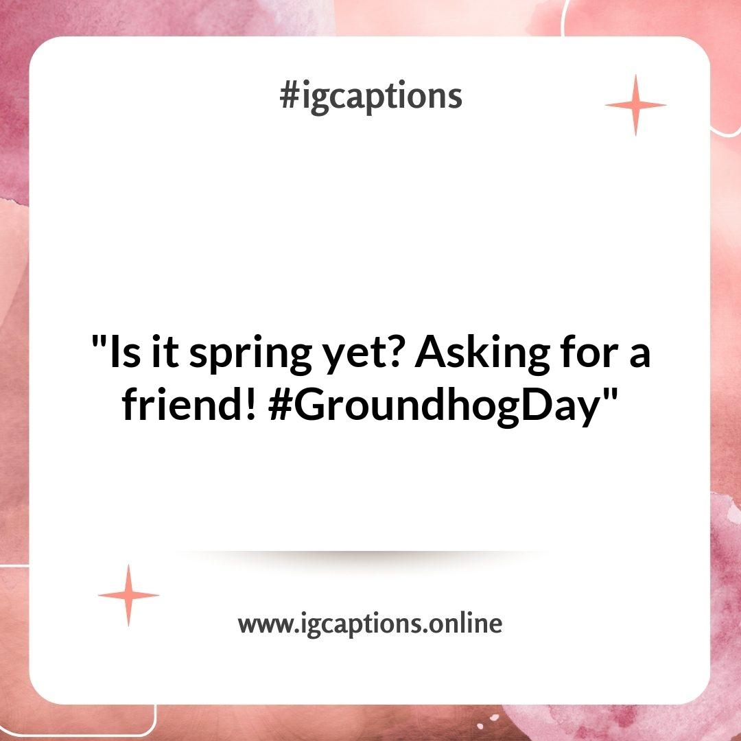 Clever Groundhog Day Instagram Captions to Spark Engagement Clever Groundhog Day Instagram Captions to Spark Engagement
