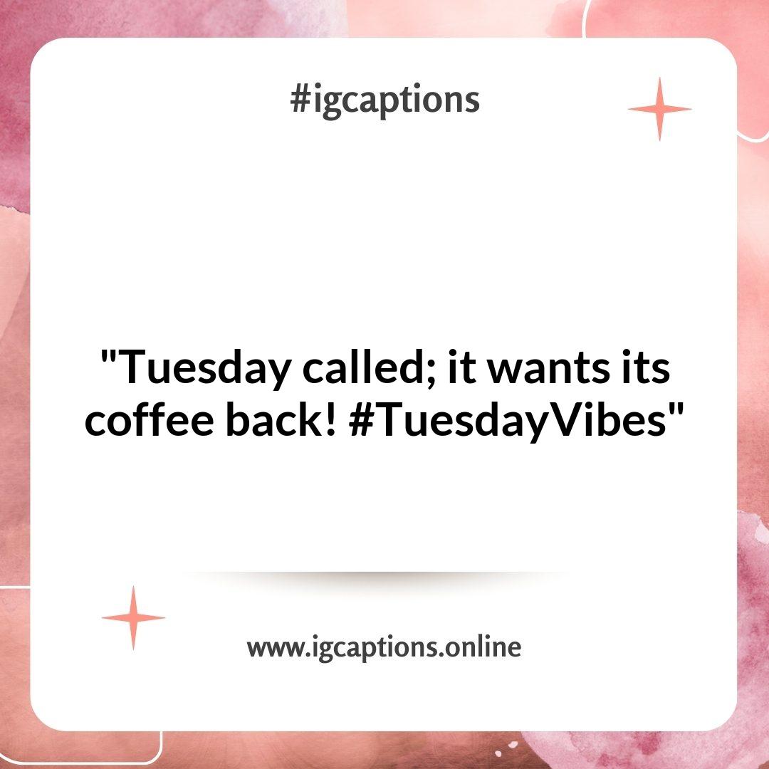 Funny Tuesday Instagram Captions to Share a Laugh Funny Tuesday Instagram Captions to Share a Laugh