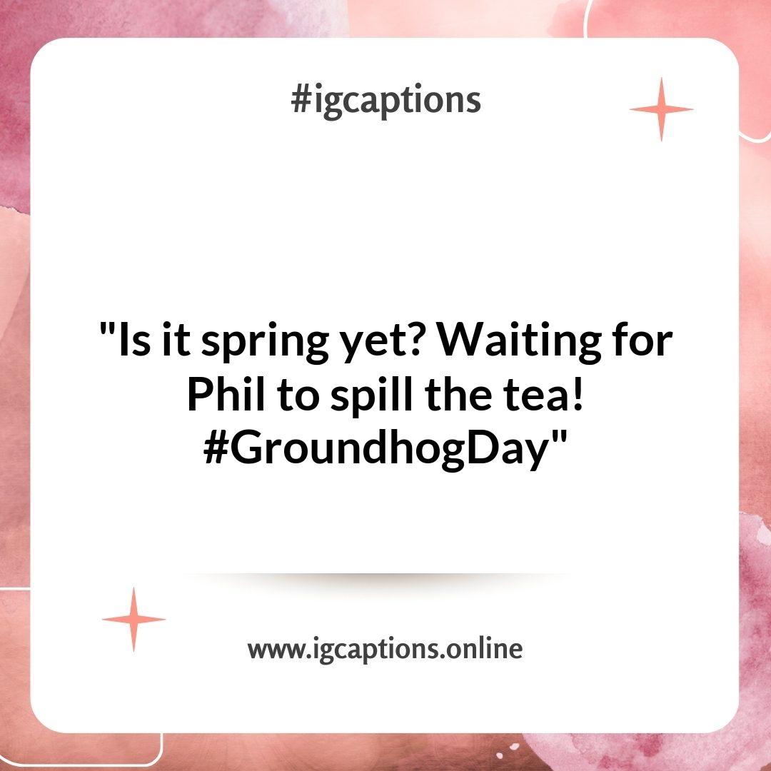 Playful Groundhog Day Instagram Captions for a Memorable Family Day Playful Groundhog Day Instagram Captions for a Memorable Family Day