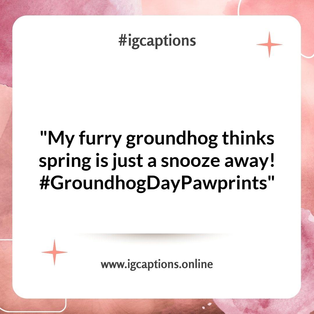Whimsical Groundhog Day Instagram Captions for Your Cute Pet Posts Whimsical Groundhog Day Instagram Captions for Your Cute Pet Posts